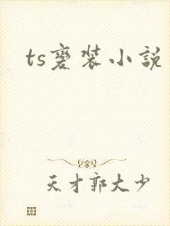 ts变装小说封面