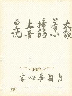 皇上撞着太子妃沈音的小说叫什么