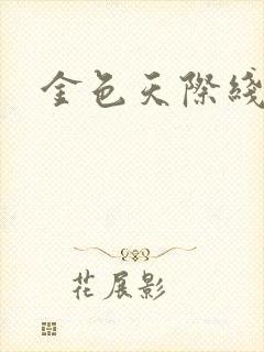 金色天际线封面
