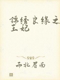 锦绣良缘之北地王妃