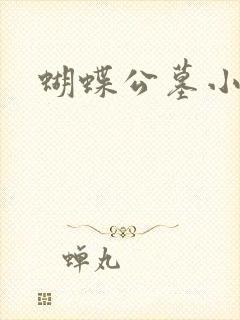 蝴蝶公墓小说