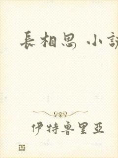 长相思 小说