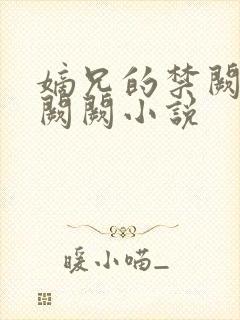 嫡兄的禁阙 华阙阙小说封面
