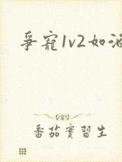 争宠1v2如酒