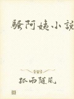 骚阿姨小说