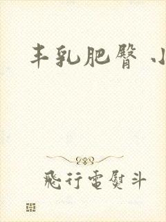 丰乳肥臀 小说