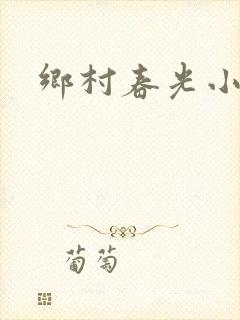 乡村春光小说封面