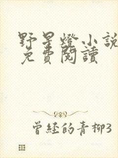 野星灯小说全文免费阅读