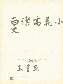 白洁高义小说全文