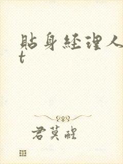 贴身经理人txt
