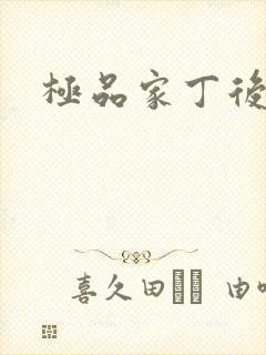 极品家丁后传