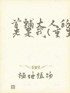 首辅大人的白月光是我(重生)