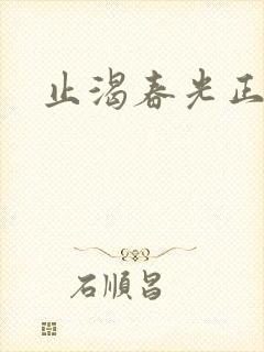 止渴春光正好封面