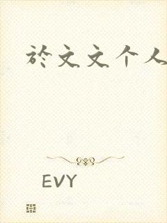 于文文个人简历