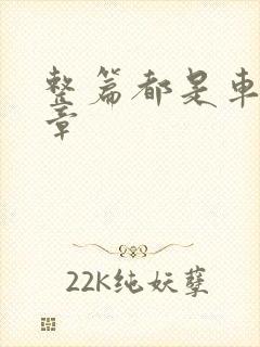 整篇都是车的文章