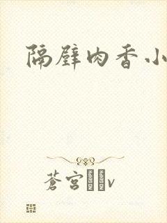 隔壁肉香小说封面