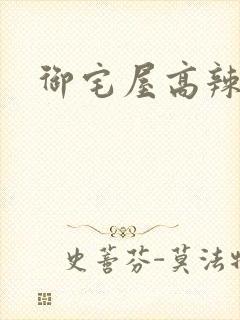 御宅屋高辣文