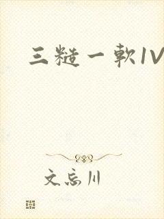 三糙一软1V3