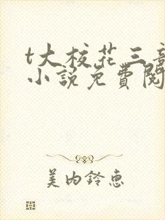 t大校花三部曲小说免费阅读全文