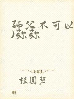 师父不可以(限)弥弥封面