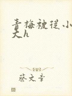 青梅被从小摸到大h封面