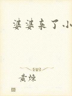 婆婆来了小说