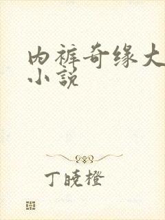 内裤奇缘大团结小说封面