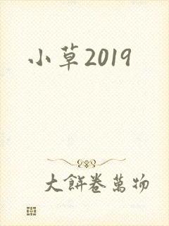 小草2019封面