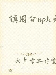 镇国公nph文