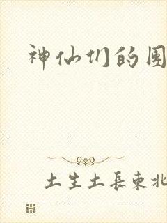 神仙们的团宠封面