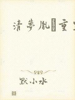 清梦胤礽重生封面