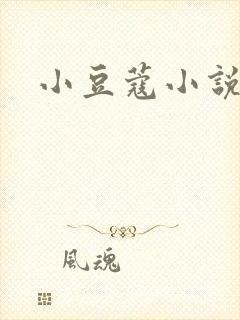 小豆蔻小说
