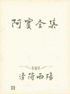 阿宾全集