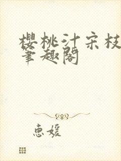 樱桃汁宋枝江野笔趣阁封面