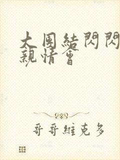 大团结闪闪发光亲情会封面