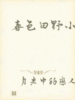 春色田野小说