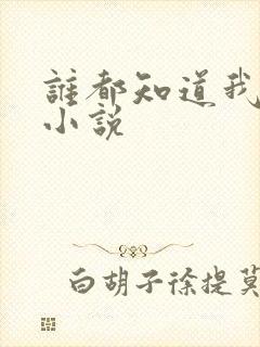 谁都知道我爱你小说