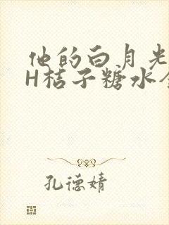 他的白月光HVH桔子糖水全文