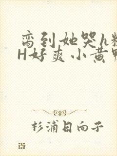 脔到她哭h粗话H好爽小黄鸭视频