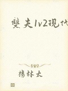 双夫1v2现代