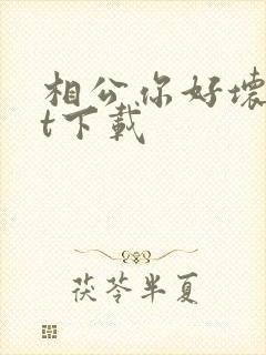 相公你好坏txt下载