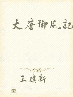 大唐御风记封面