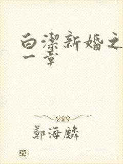 白洁新婚之夜第一章
