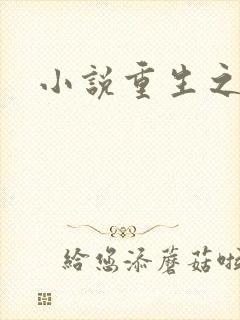 小说重生之官道