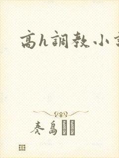 高h调教小说