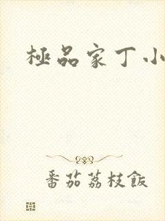 极品家丁小说