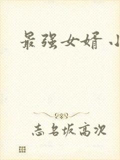 最强女婿 小说
