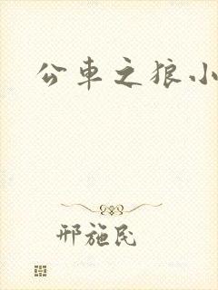 公车之狼小说