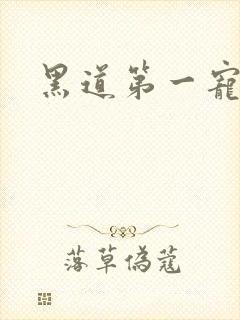 黑道第一宠婚