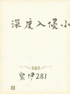 深度入侵小说